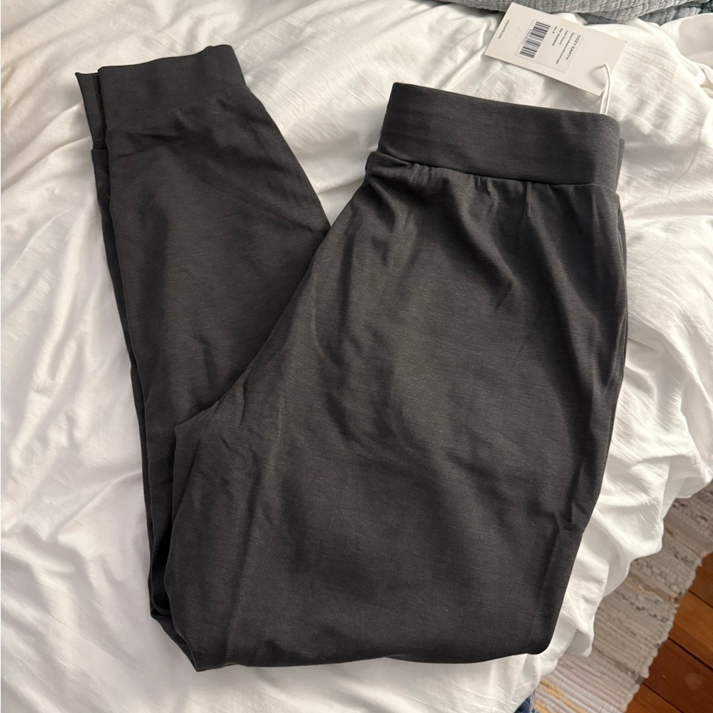 NWT Cozy Earth joggers
